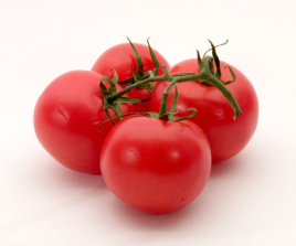 Tin Tomatoes